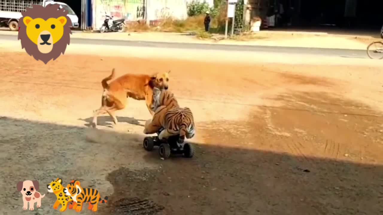 Troll Prank dog😃 Lion and Tiger Prank To dog.....