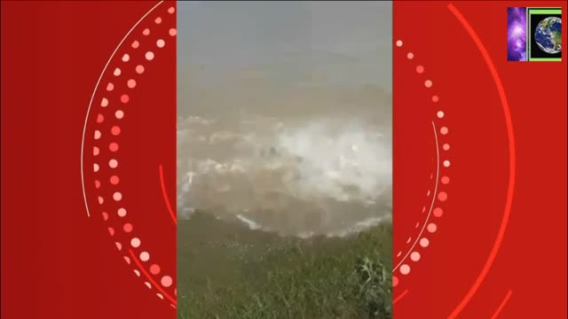 Fisherman throws a piece of meat and stirs a school of piranha in the Paraguay River