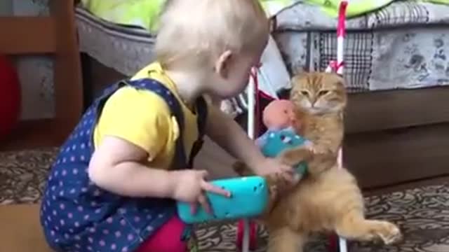 Baby & cat cute friendship