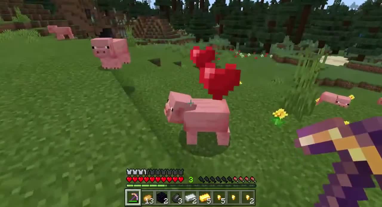 Farming Pigs