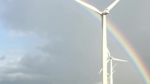 THE BEAUTIFUL WINDMILLS OF ILOCOS