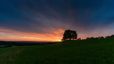 RELAX WITH THIS BEAUTIFUL NATURAL LANDSCAPE