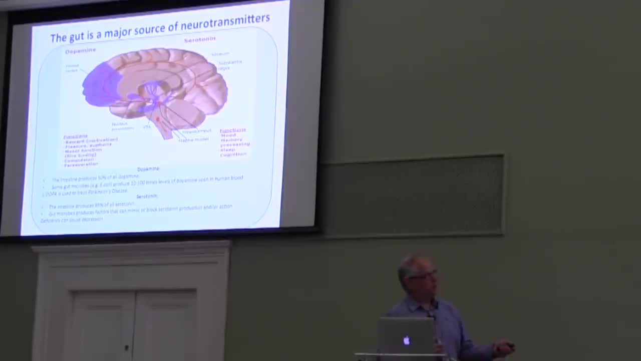 Researcher describes Terrain Theory: Gut bacteria and mind control: to fix your brain, fix your gut