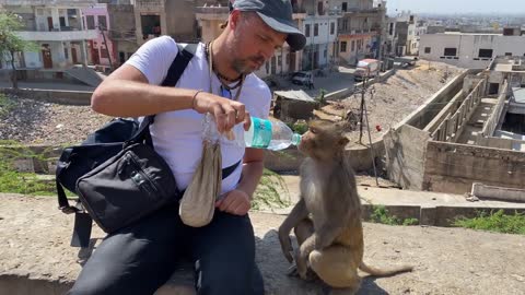 Guy feeding water to monkeys 😍