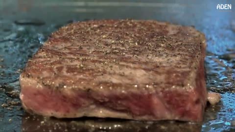 Omi Beef & Lobster in Kyoto - Gourmet Food in Japan-13