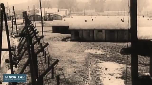 the New Useless Eaters