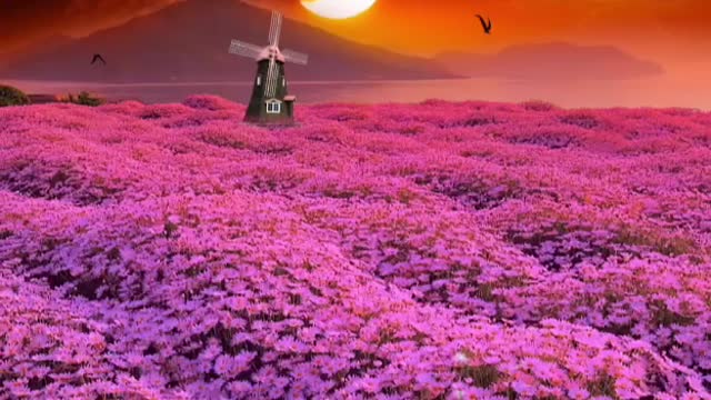 Are you moved by such a beautiful scenery?