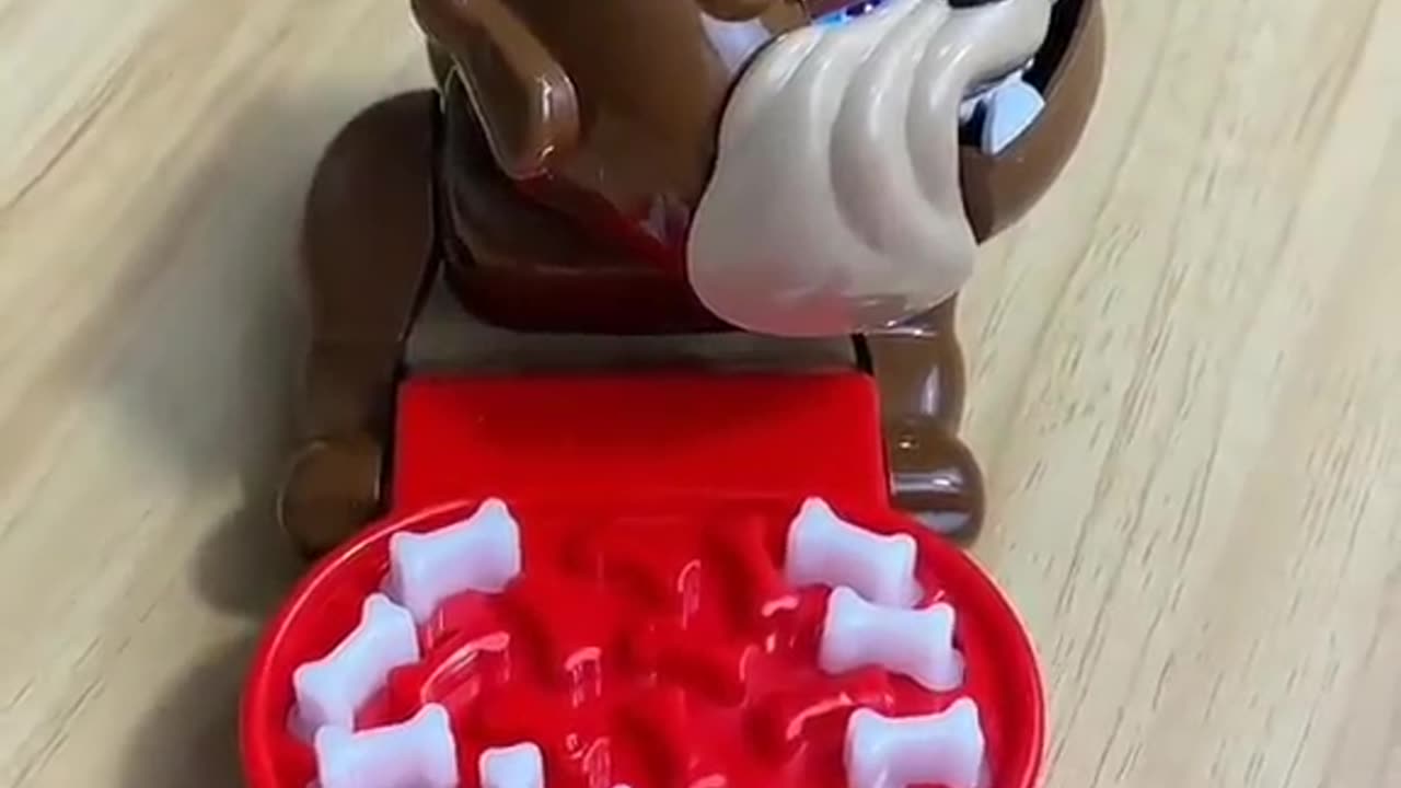 Funny videos