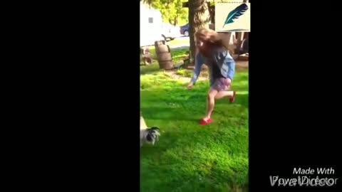 Funny chickens and roosters Chasing kids and adults LOL 😂