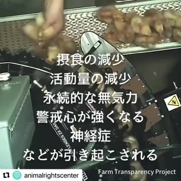 鶏卵工場の闇
