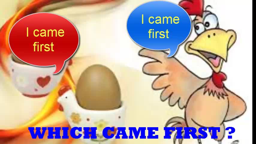 Which one is came first ? Chicken or Eggs