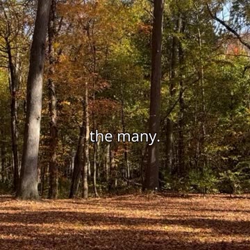 Human Nature vs Grace Part 3