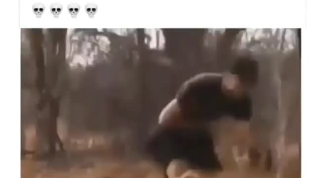 the lion almost killed the man