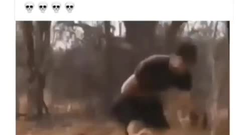 the lion almost killed the man