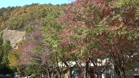 Various Autumn Views of korea 10