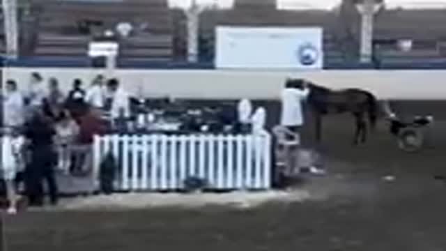 Country Pleasure Driving Class Gone Wrong!