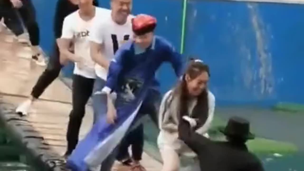 Funny Videos