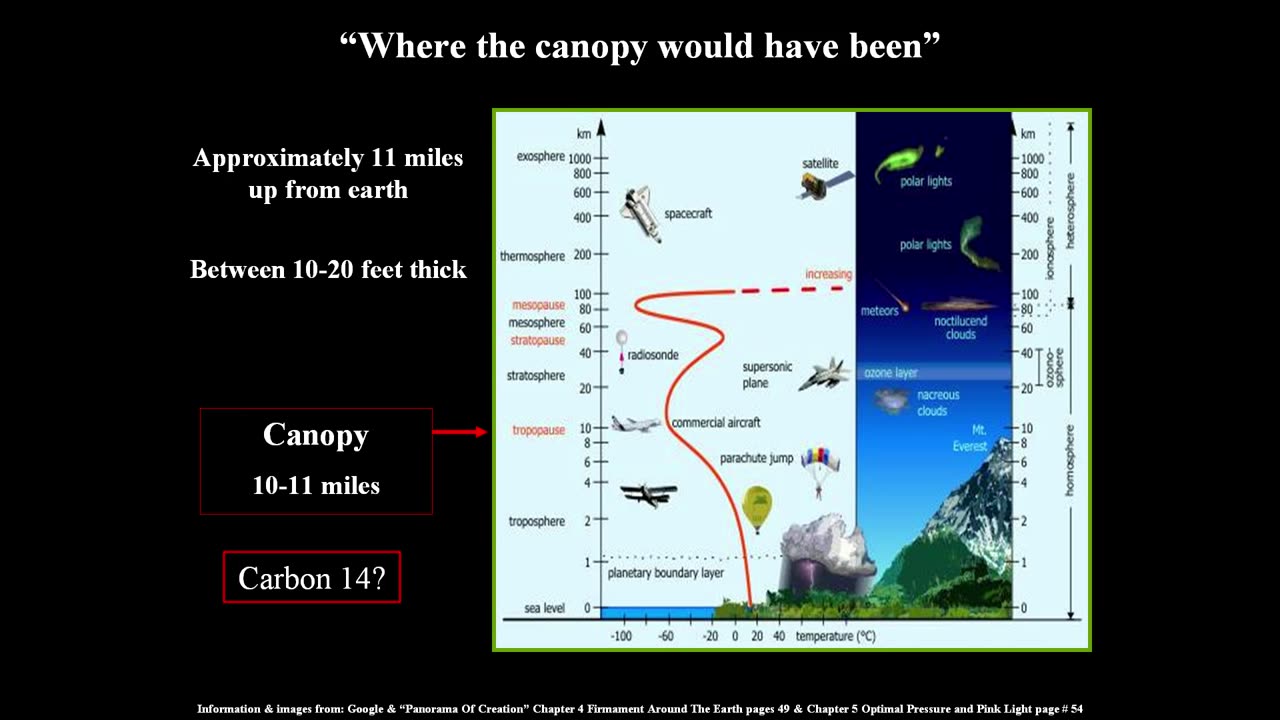 A few things about the Canopy Theory (Canopy Theory Part#2)