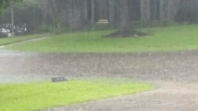 Flooding on Canyon Trail