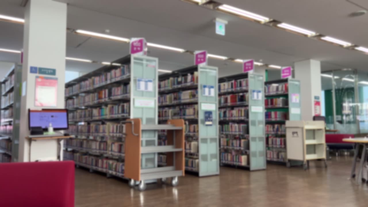 The person who reads books in the library, blued