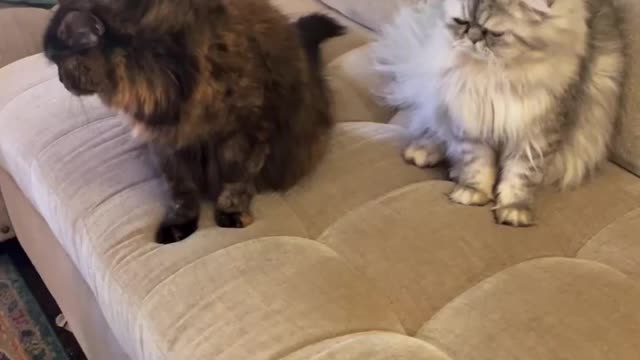 Her Reaction 🤣🤣