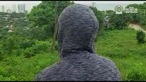 video de los morales