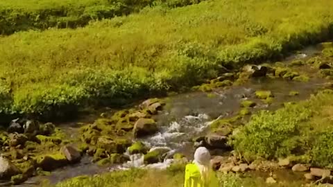 Beautiful Nature look just like amazing.