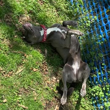 Can’t stop rolling