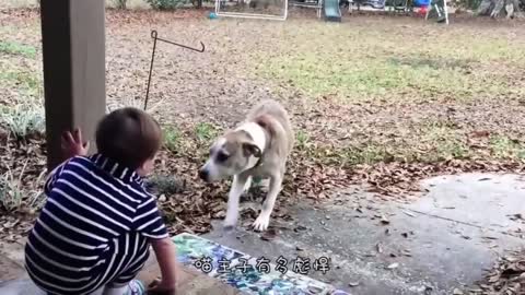 The timid dog is too cute