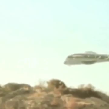 FO. Real or fake? What do you think about