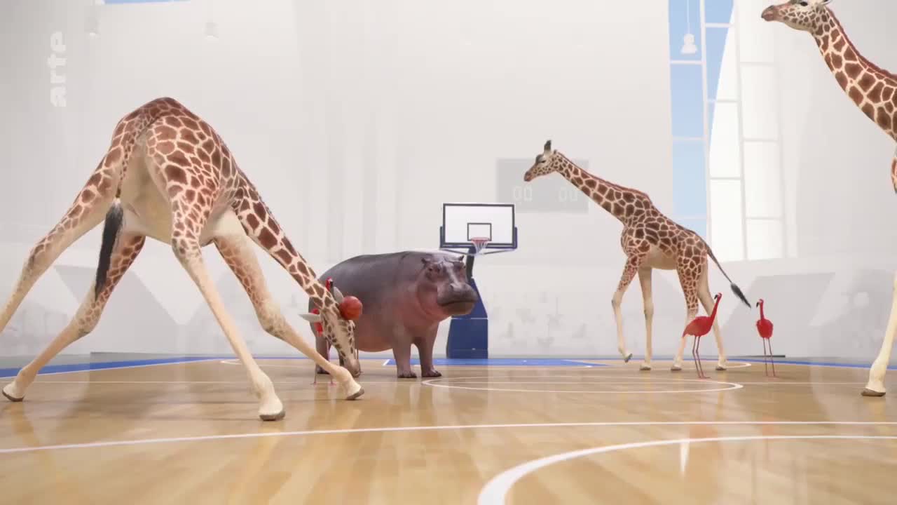 Athleticus-Sportliche Tiere:Basketball-Arte