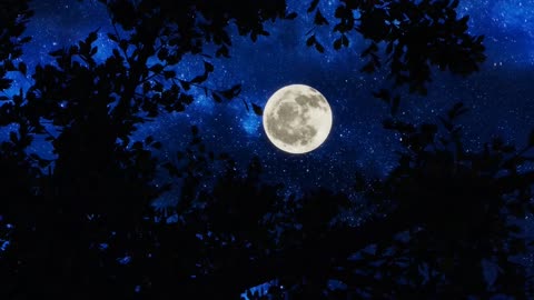 Beautiful Moonlight Scenes with Relaxing Cinematic Music