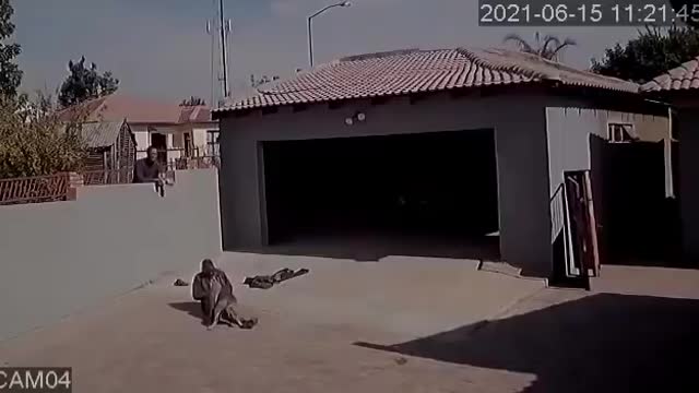 Robbery gone wrong