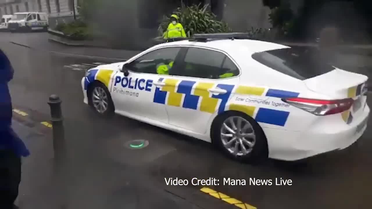 POLICE HITTING BOLLARDS 🤣 DONK! MANA LIVE NEWS 13 FEB NZ PARLIAMENT