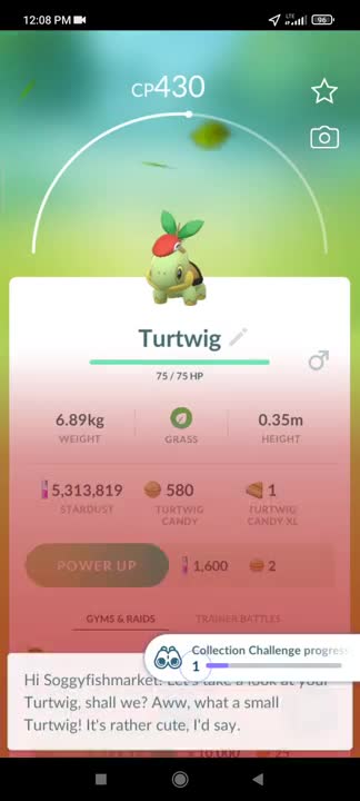 Pokémon GO-Lucas Hat Turtwig