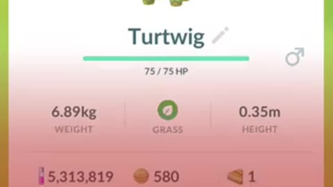 Pokémon GO-Lucas Hat Turtwig