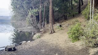 Trailhead of 3.6 Mile Shoreline Circumnavigation Hike of Suttle Lake – Central Oregon – 4K