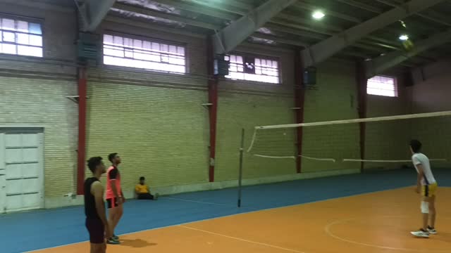 Volley love