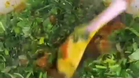 Cooking an African soup