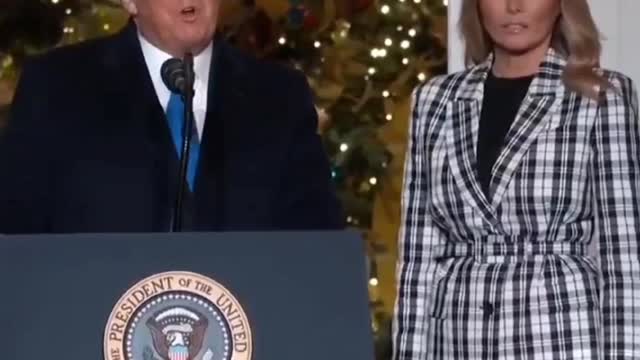 President and Mrs Trump light our Christmas tree