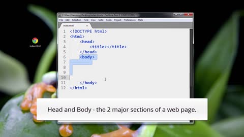 HTML5_PRO_ch3-l2-setting-up-the-basic-html-page-2-720 (720p)
