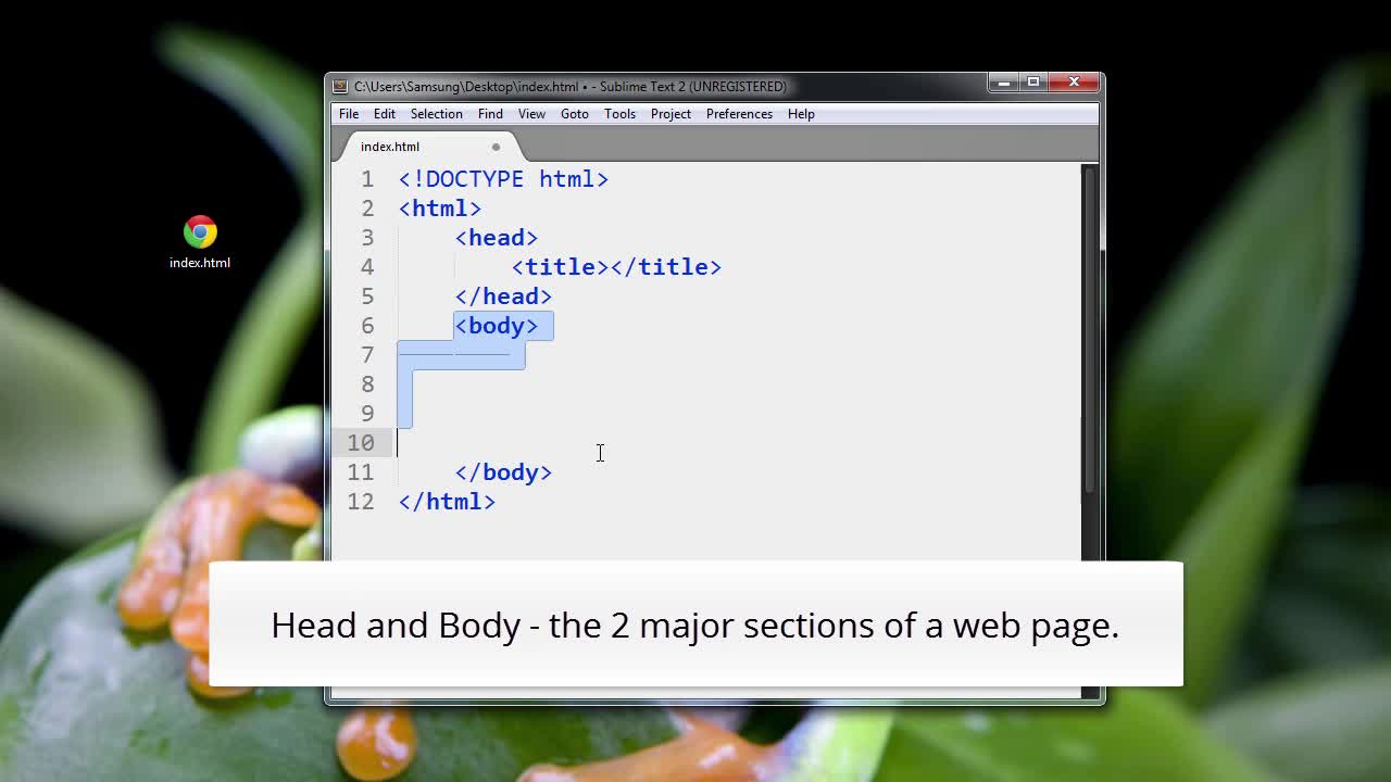 HTML5_PRO_ch3-l2-setting-up-the-basic-html-page-2-720 (720p)