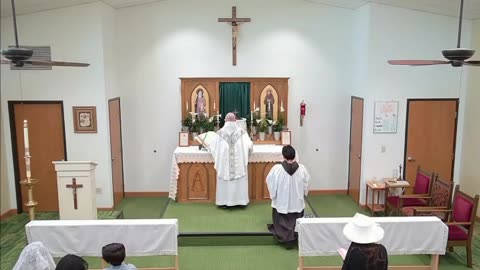 Low Sunday - Holy Mass 4.07.24