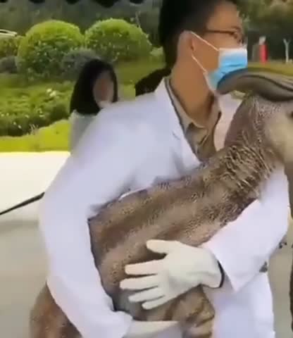 Chinese are cloning dinosaur