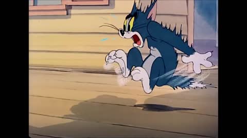 Tom and jerry funny 😁🤣