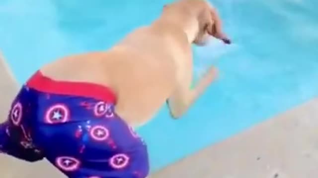 Super Funny Animal Video that Will Make You Laugh Out Loud