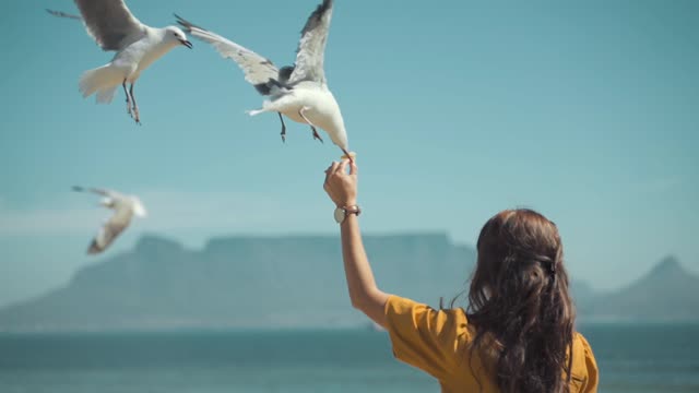 Girl enjoys view of beautiful birds.