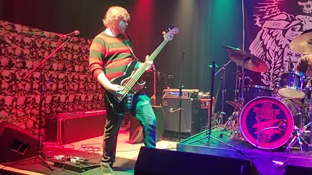 The Everyday Losers "Birds Of Prey"
