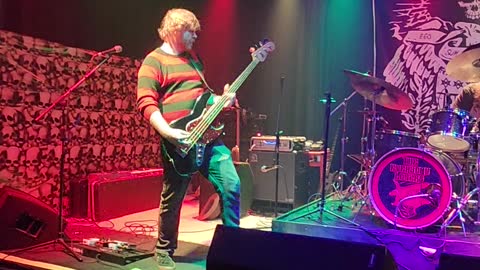 The Everyday Losers "Birds Of Prey"