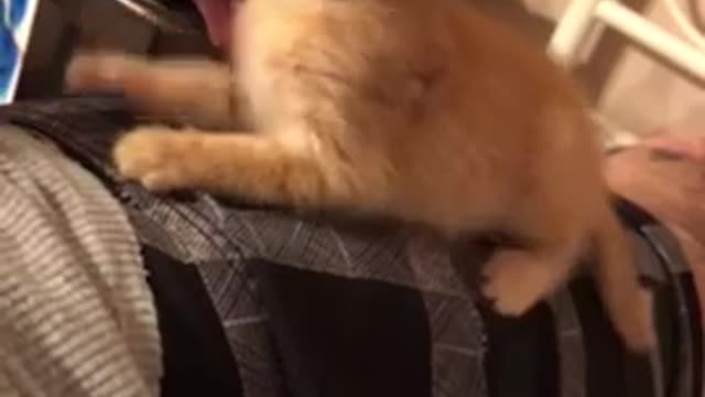 The cutest moment with his daddy (when he was 14 weeks old)
